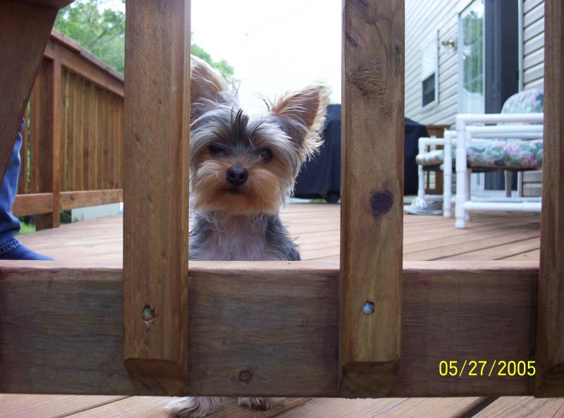 Bailey deck